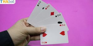Câu hỏi quen thuộc về tứ quý heo là gì